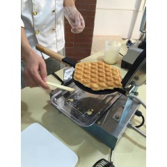 FY-6 gofrownica bąbelkowa bubble waffel profesjonalna